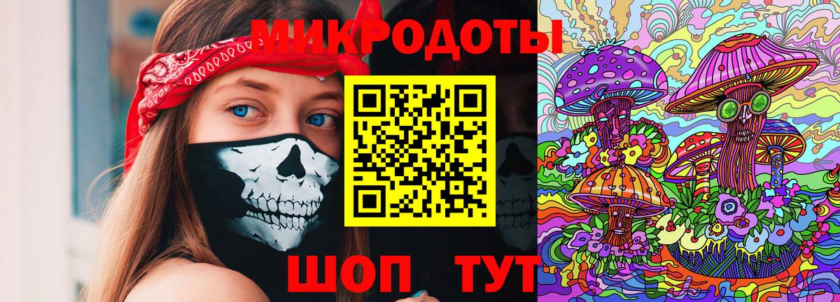 Псилоцибиновые грибы Psilocybine cubensis Тейково