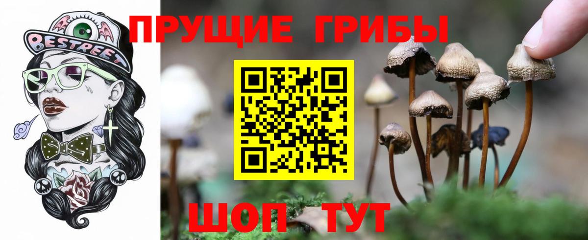 Тейково  Галлюциногенные грибы MAGIC MUSHROOMS  Вход с VPN 